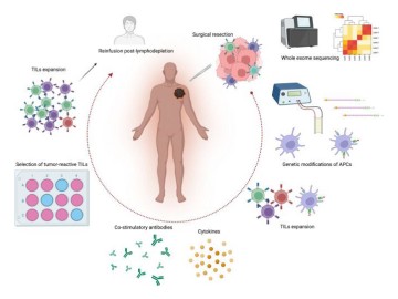 6626225744db415262_thumbW360